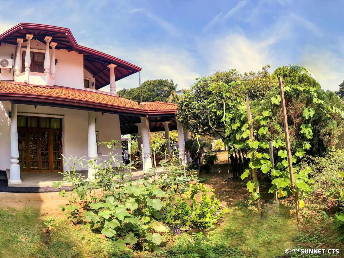 Ceylon Pearlwing Resort Negombo Exteriör bild